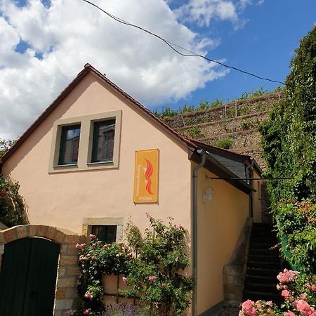 Unterkunft Am Weinberg Nunchritz Dış mekan fotoğraf