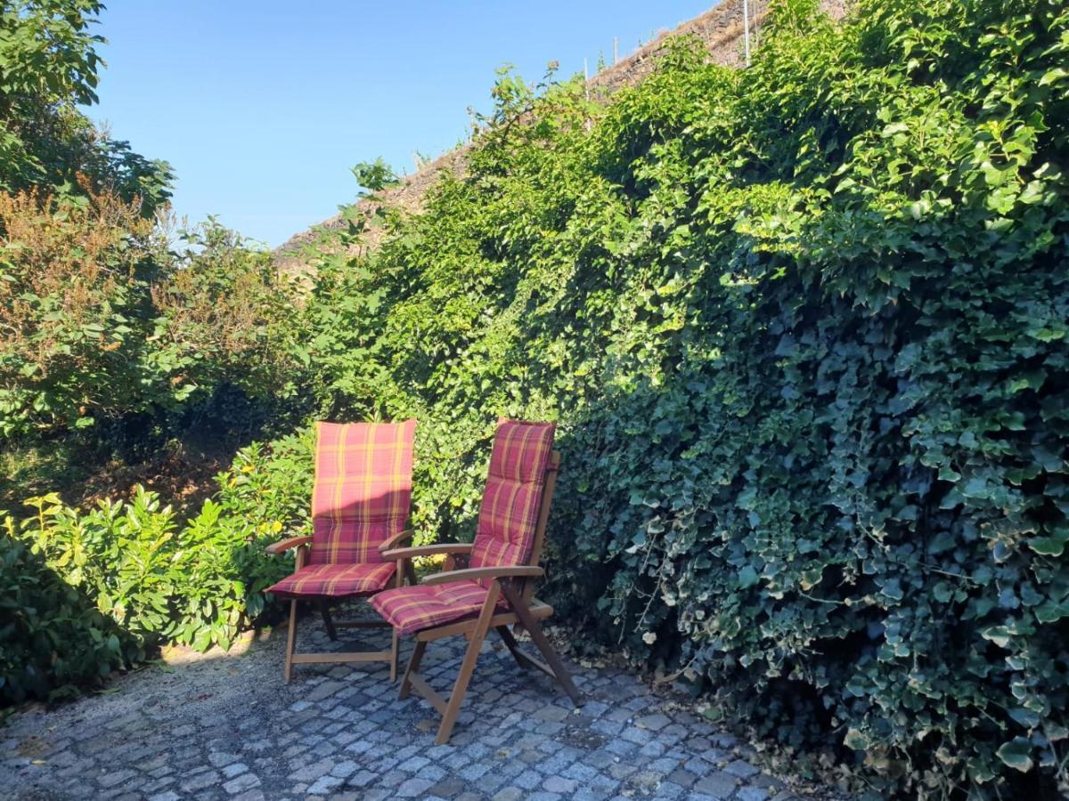 Unterkunft Am Weinberg Nunchritz Dış mekan fotoğraf